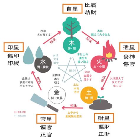 五行 水 職業|【四柱推命】日干の五行で占う適職